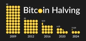 bitcoin halving