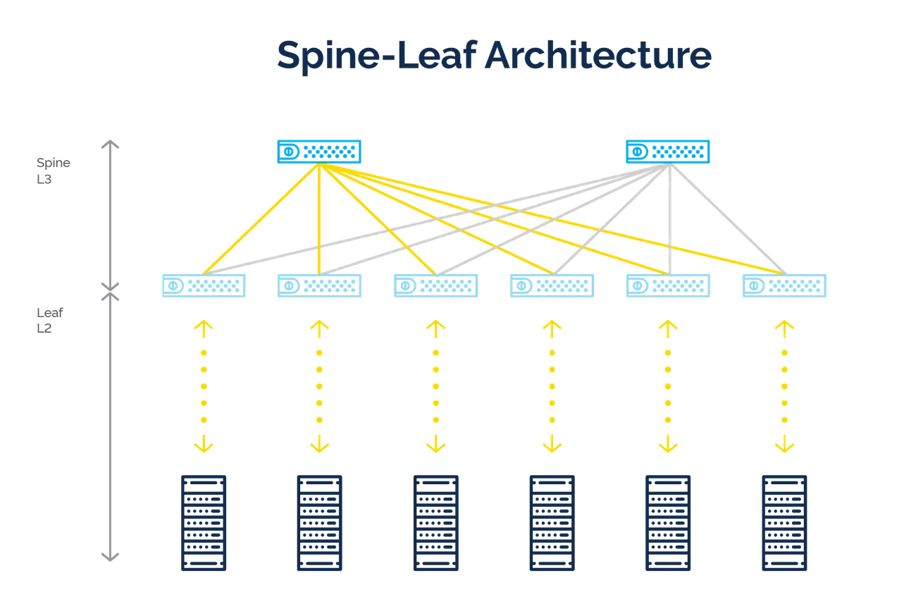 Server and Hosting Factors