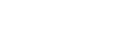 Blake Star logo
